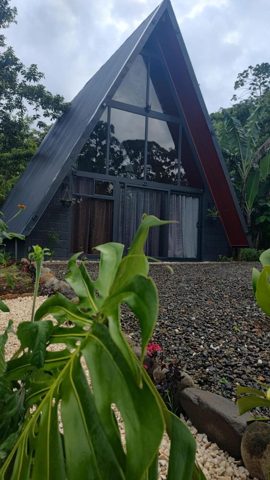 Yarumo Lodge, Rio Celeste Black Chalets Бихагуа Экстерьер фото