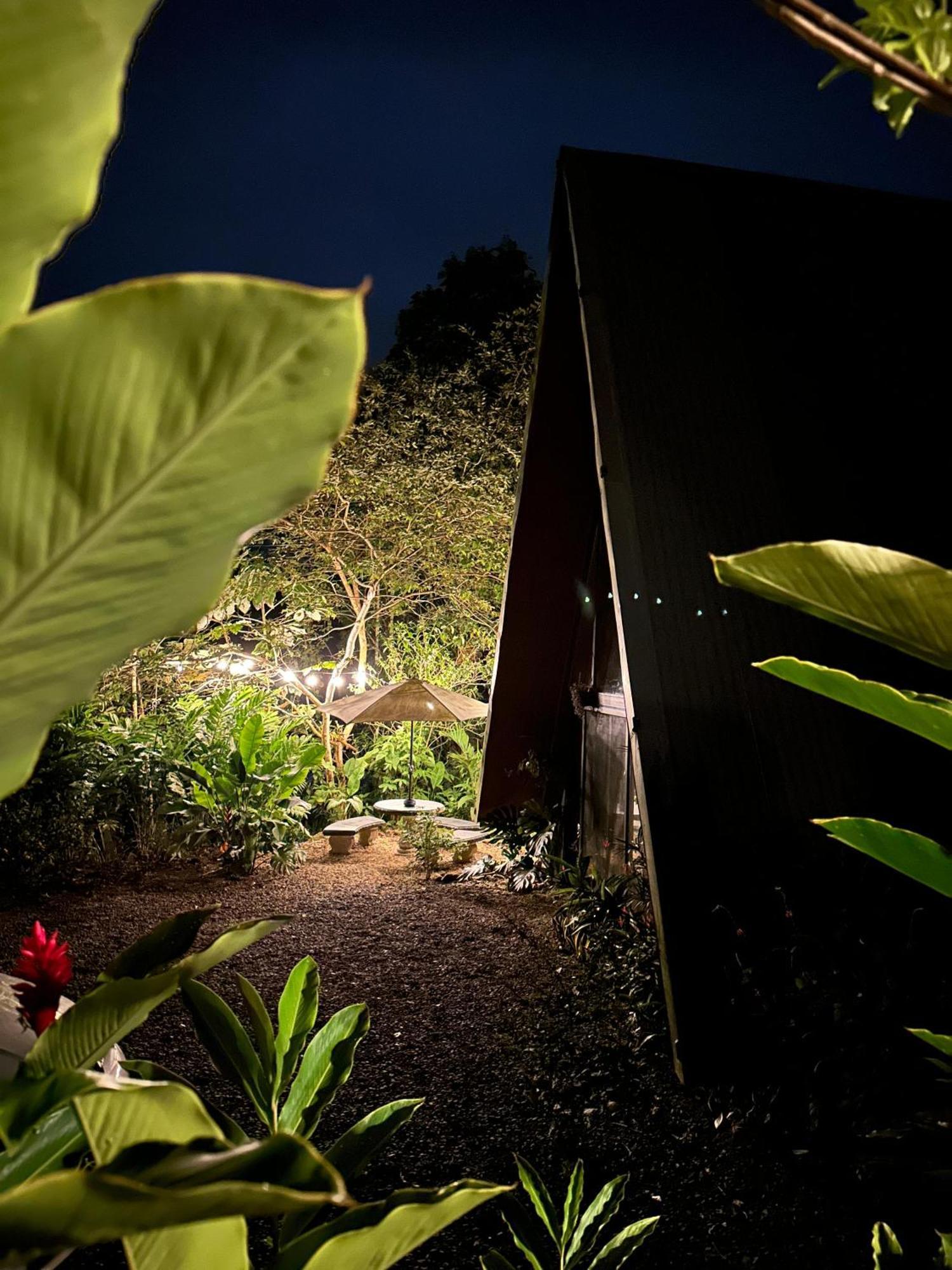 Yarumo Lodge, Rio Celeste Black Chalets Бихагуа Экстерьер фото